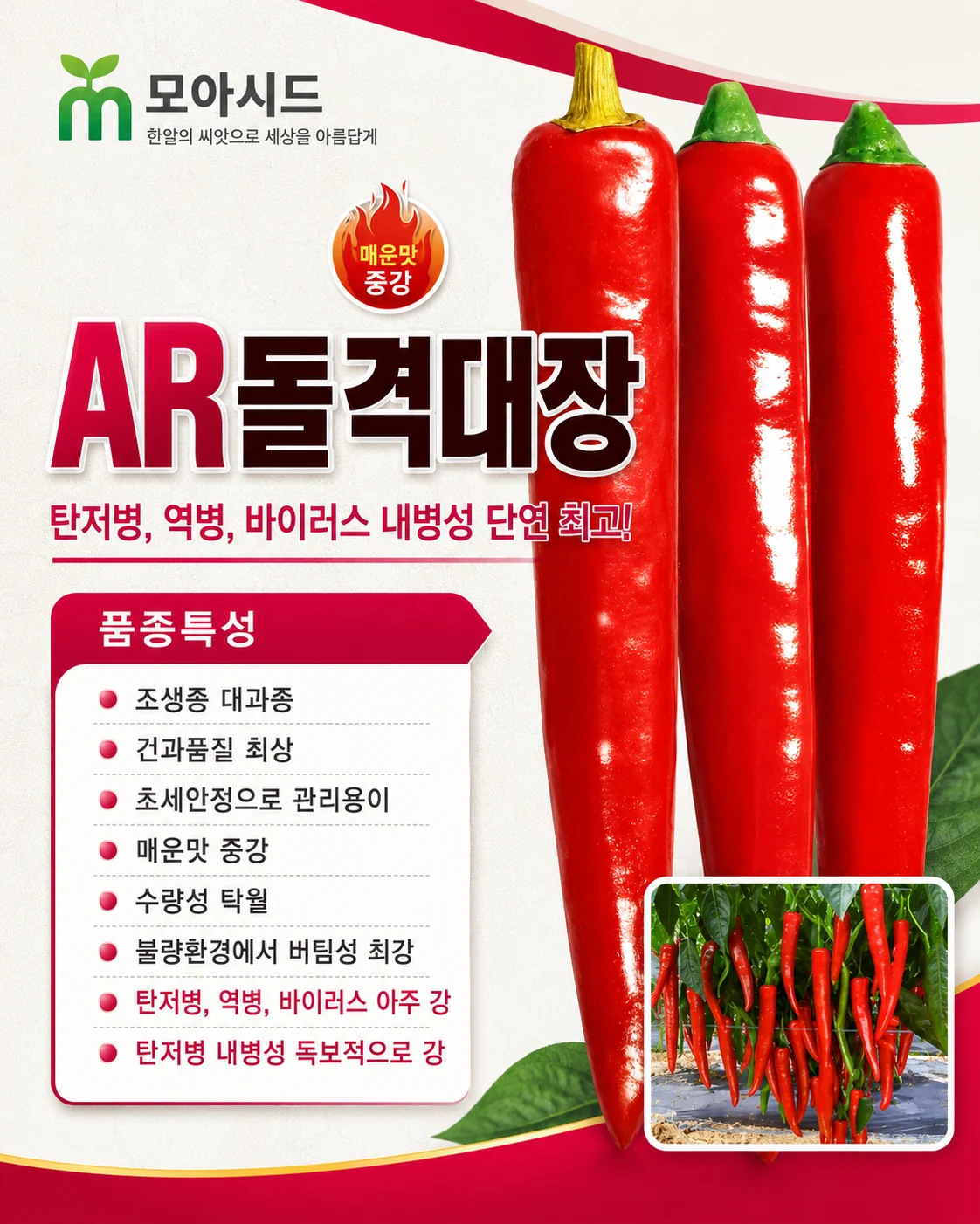 AR돌격대장 고추