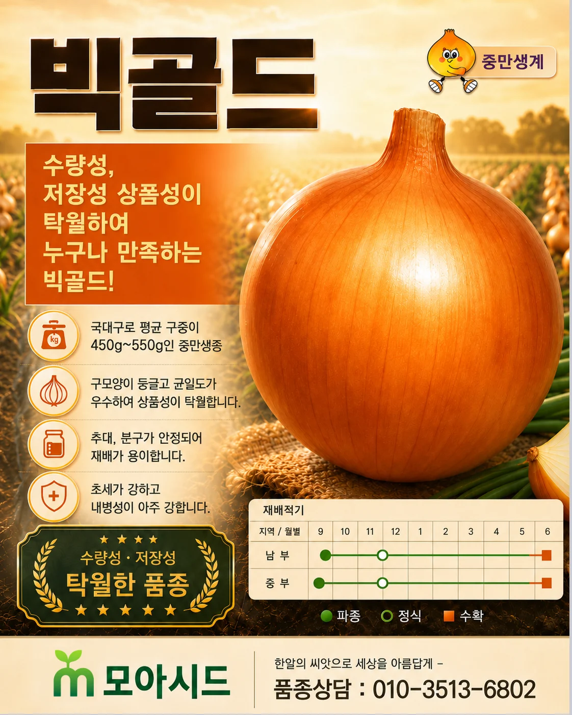 빅골드 양파