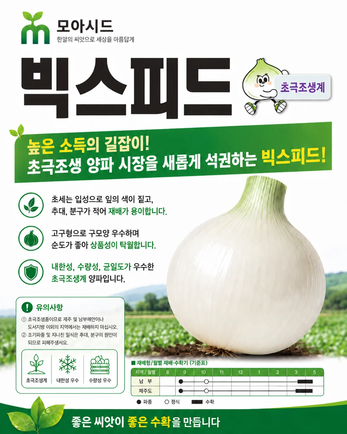 빅스피드