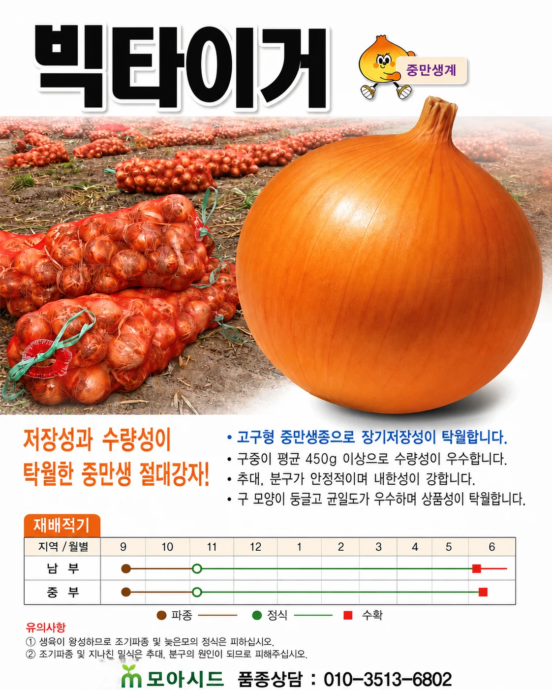 빅타이거