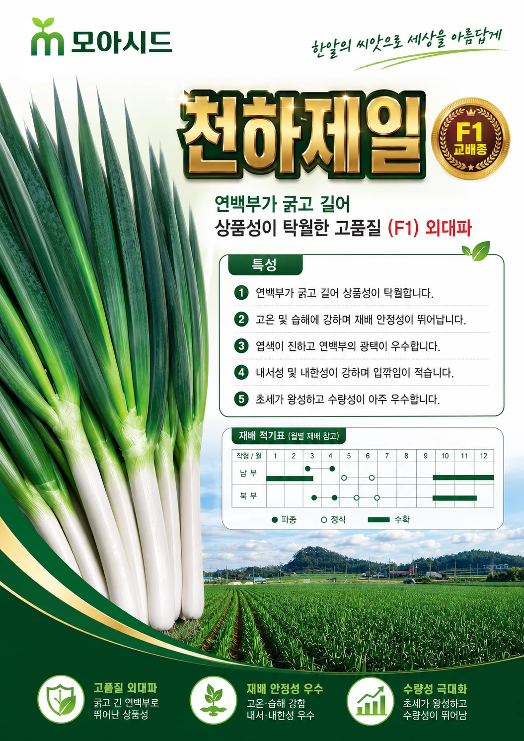 천하제일