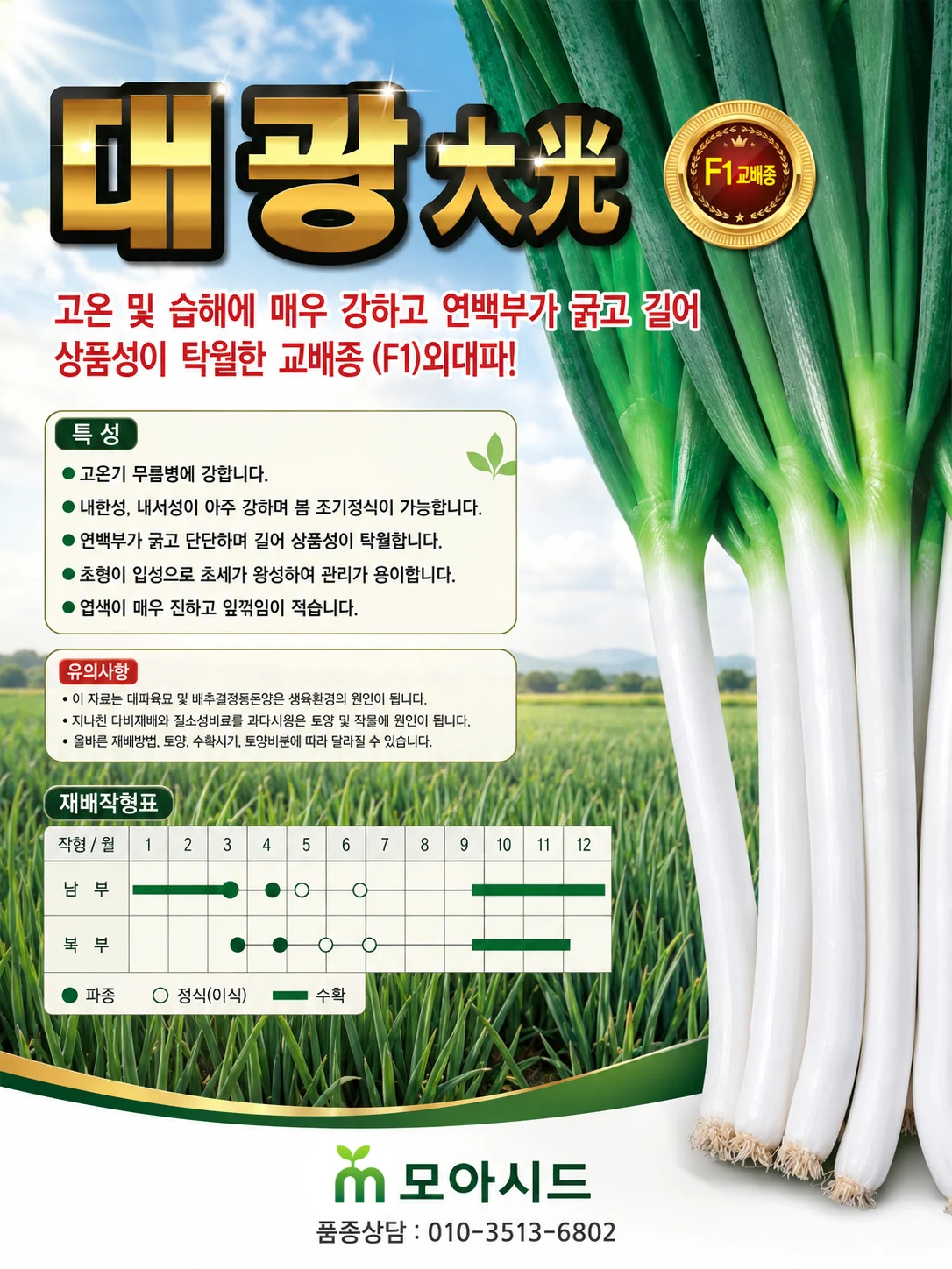 대광(大光)
