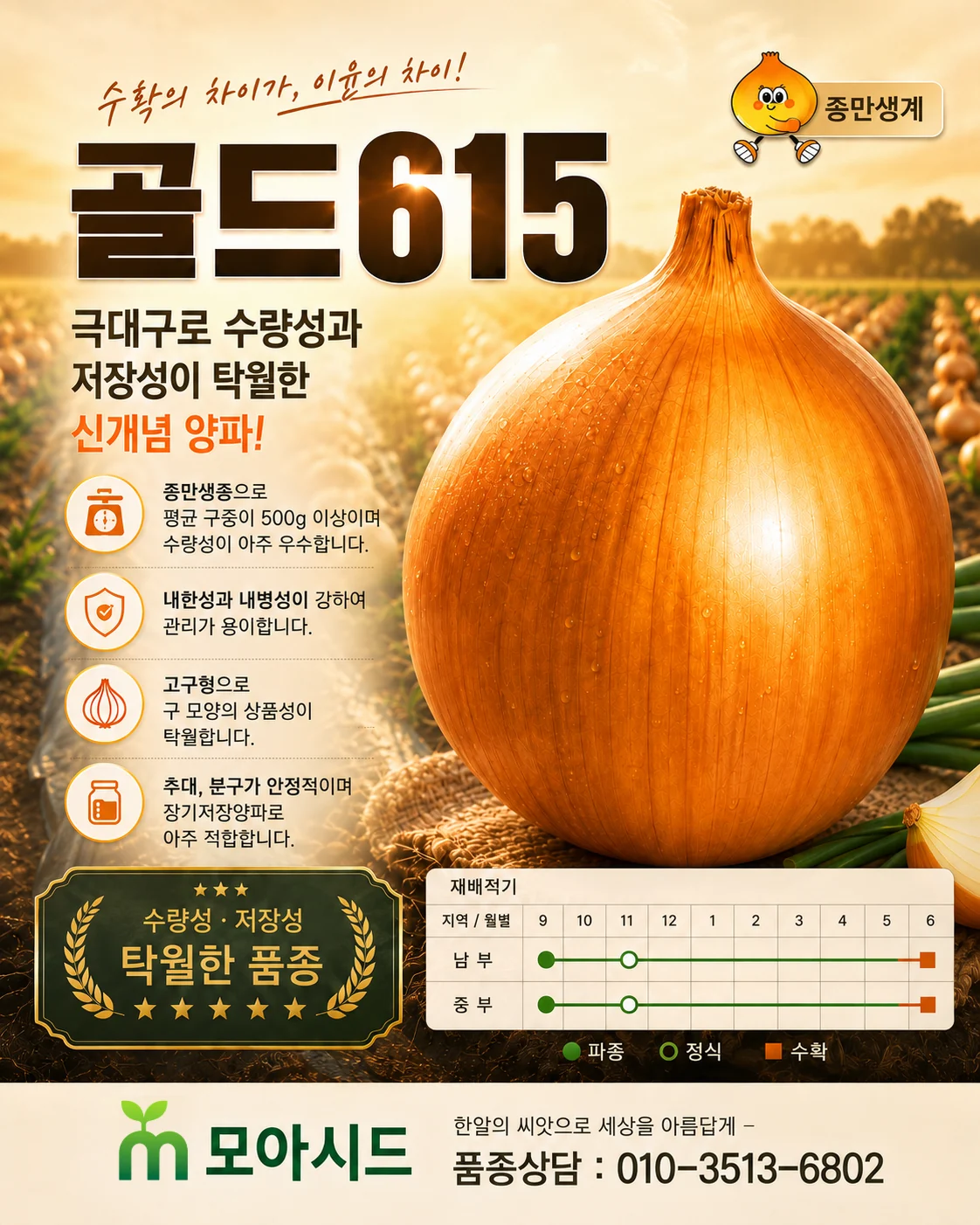 골드615 양파