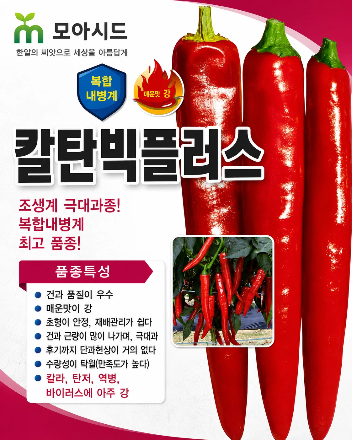 칼탄빅플러스 고추