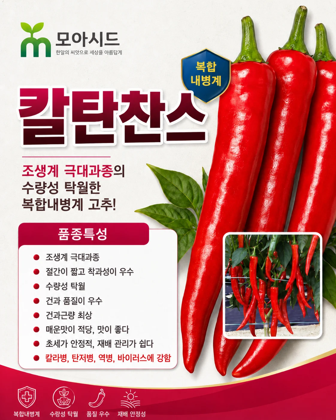 칼탄찬스