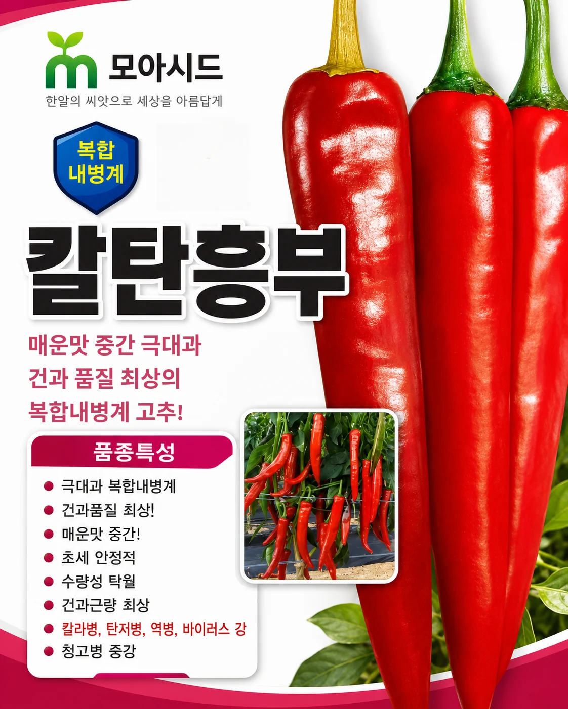 칼탄흥부 고추