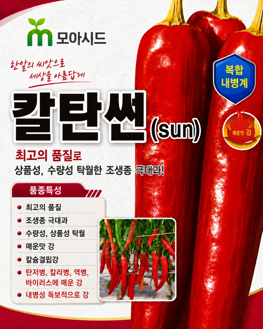 칼탄썬