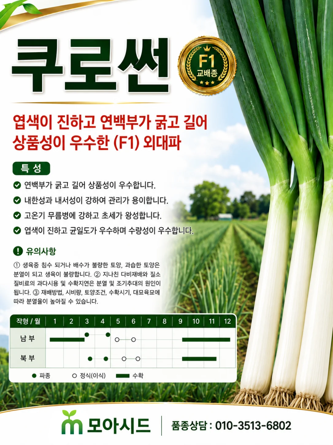 쿠로썬